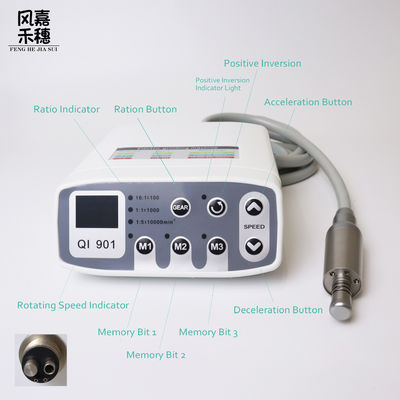 Buy Compact Torque Control Dental Electric Motor Adjustable RPM Electric Handpiece Motor online manufacture